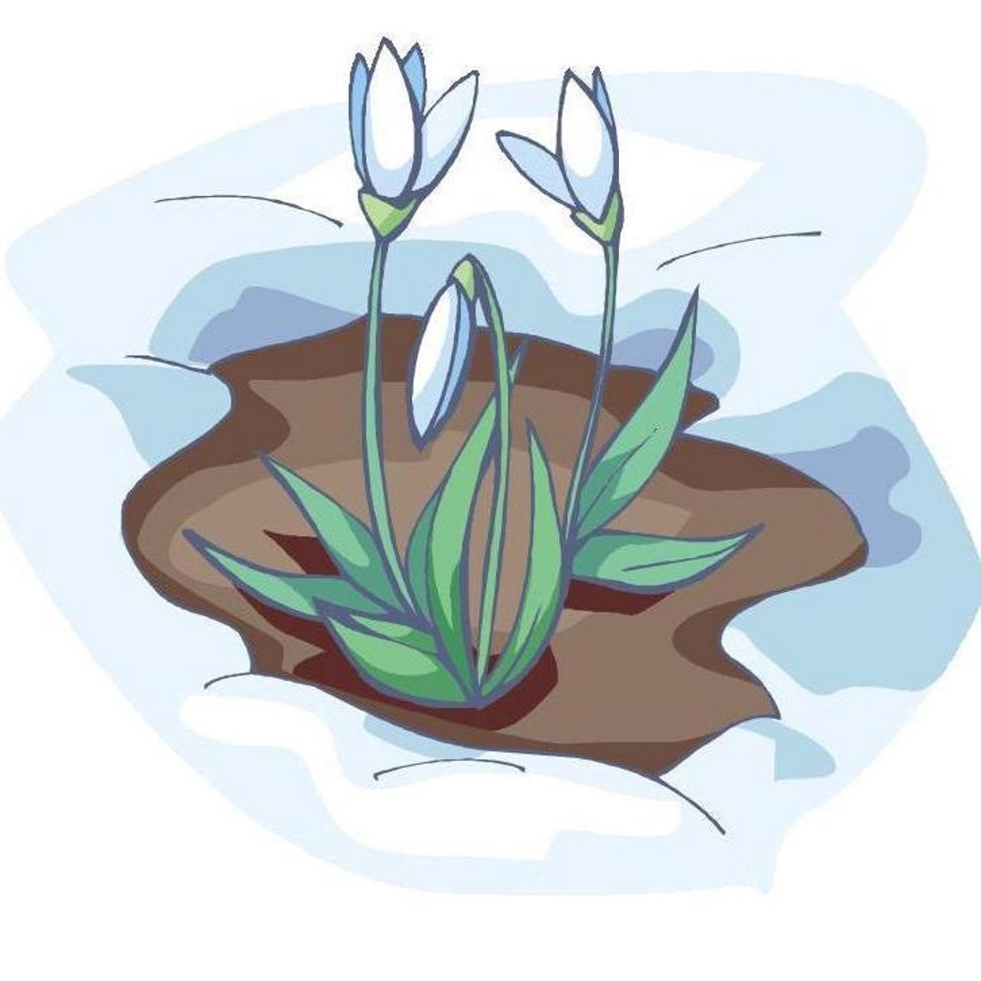 Подснежники мультяшные