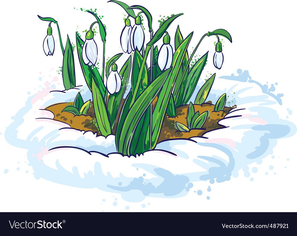 Проталины на белом фоне