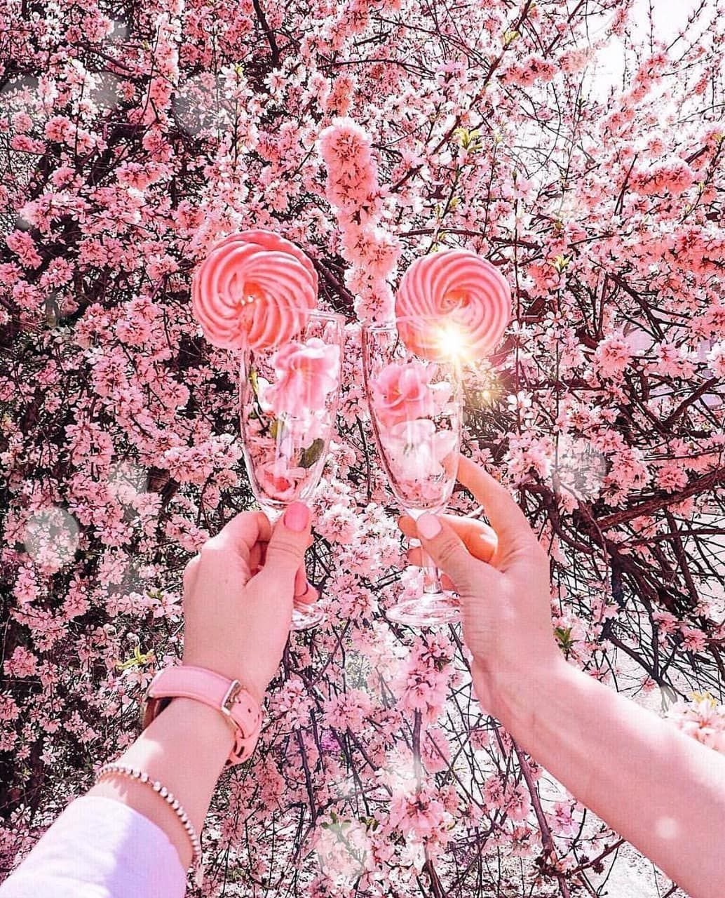 Фон для историй Инстаграм с цветущими деревьями