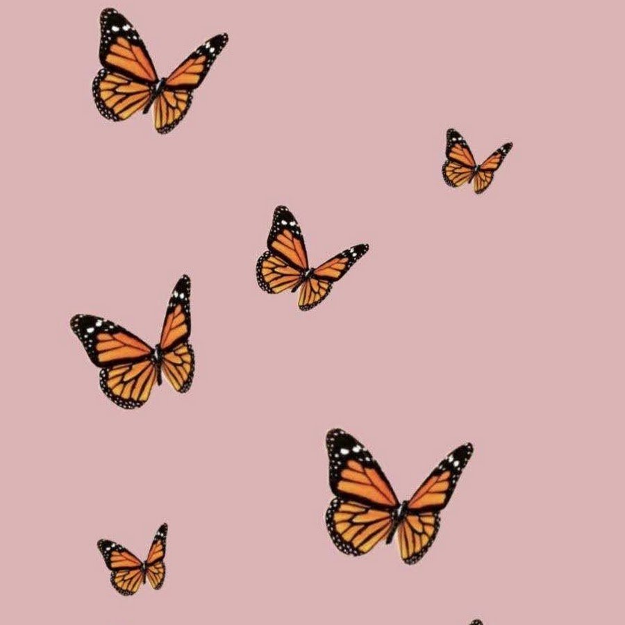 Много бабочек