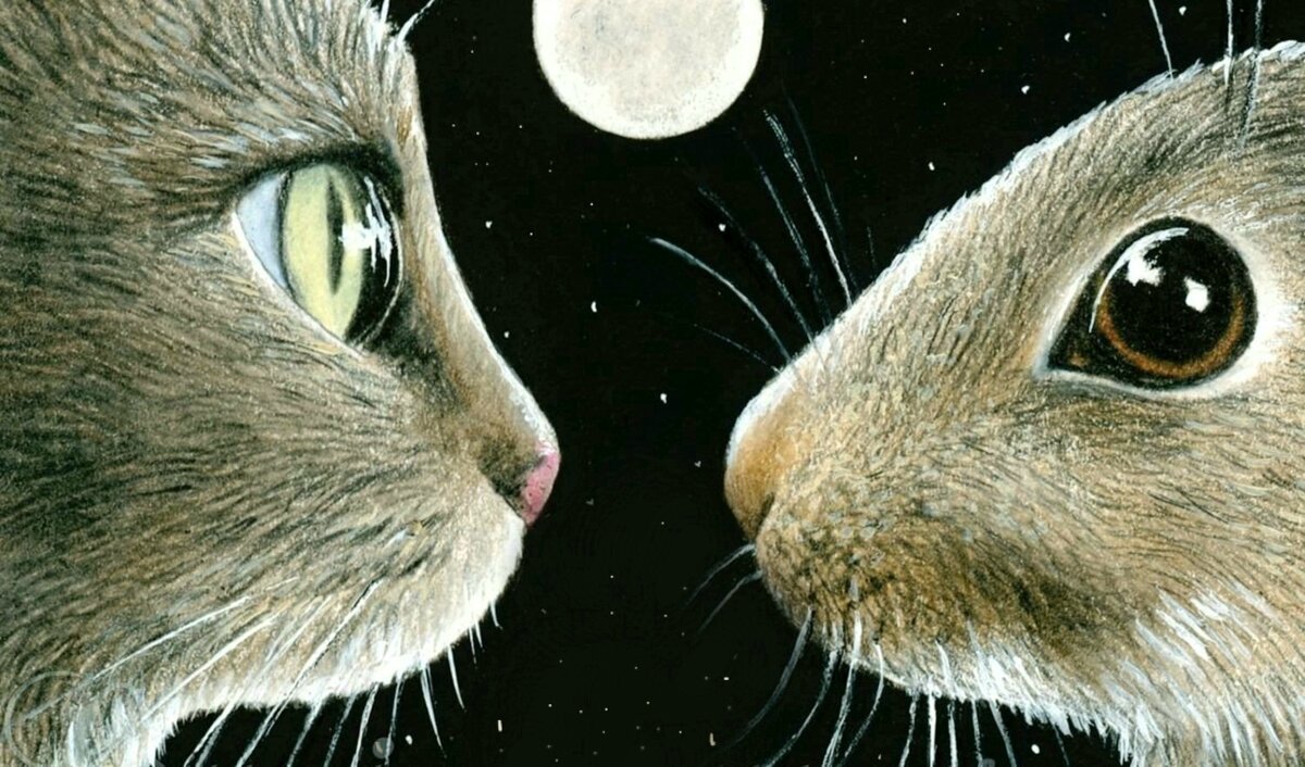 Кот и кролик рисунок 2023