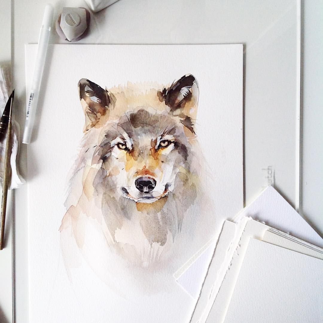 Фильм National Geographic Возвращение волка