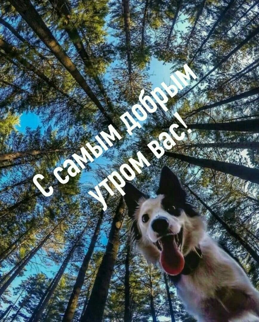 С днём рождения с аолком