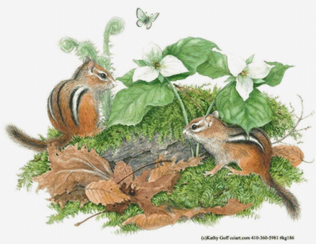 Рисуем бурундуков в природе