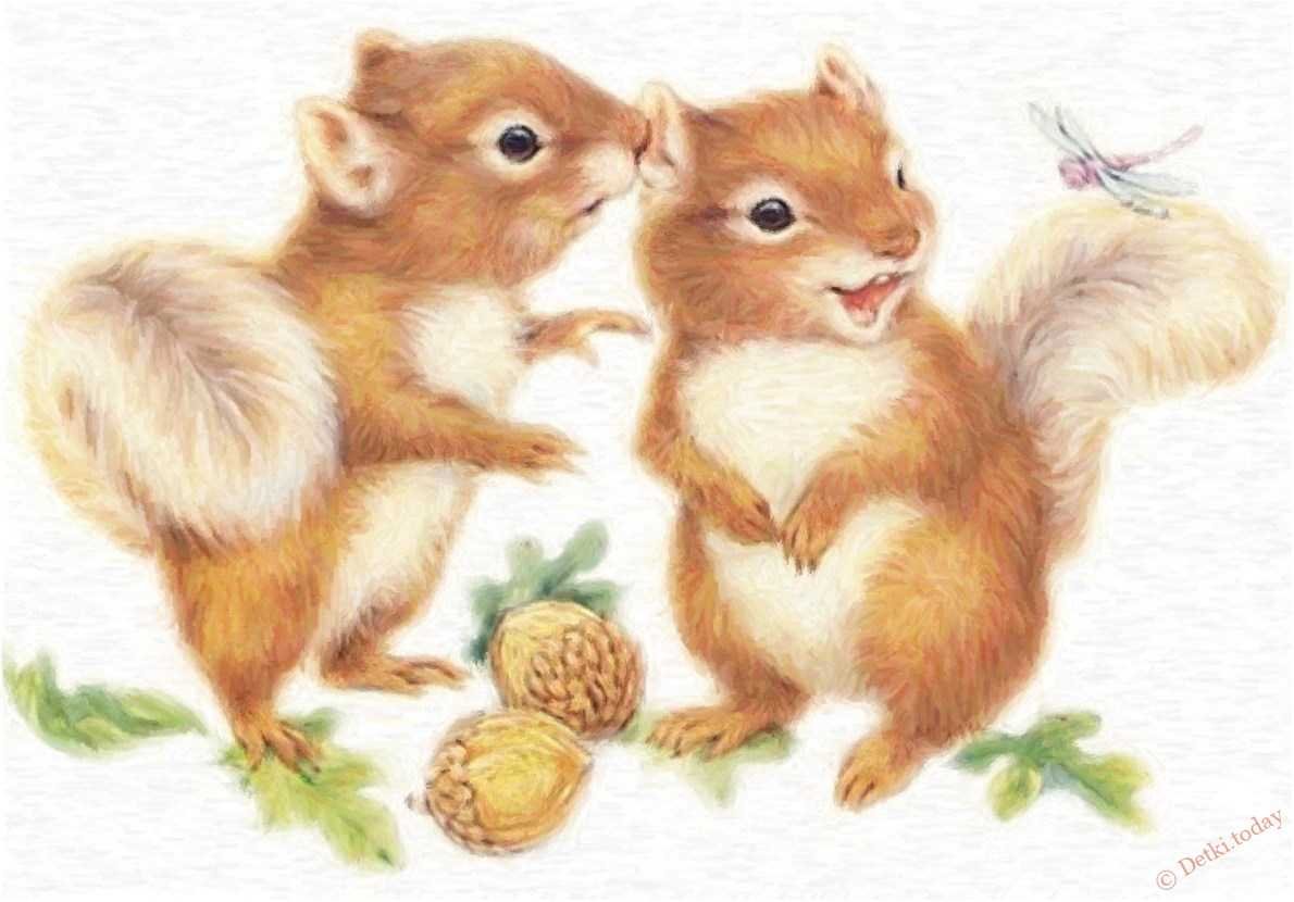 Белка с бельчатами картинки для детей