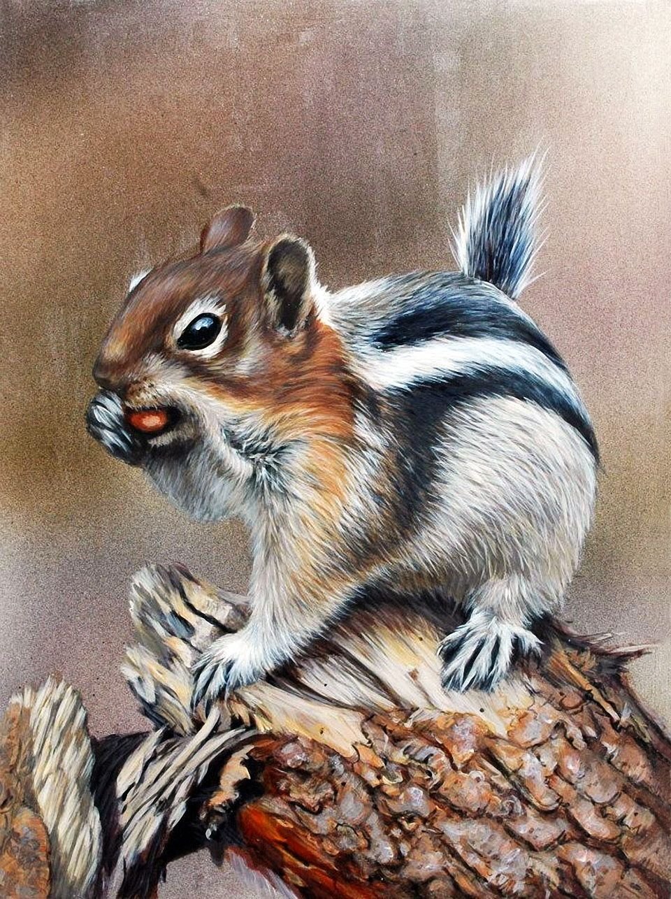 Сладков бурундук