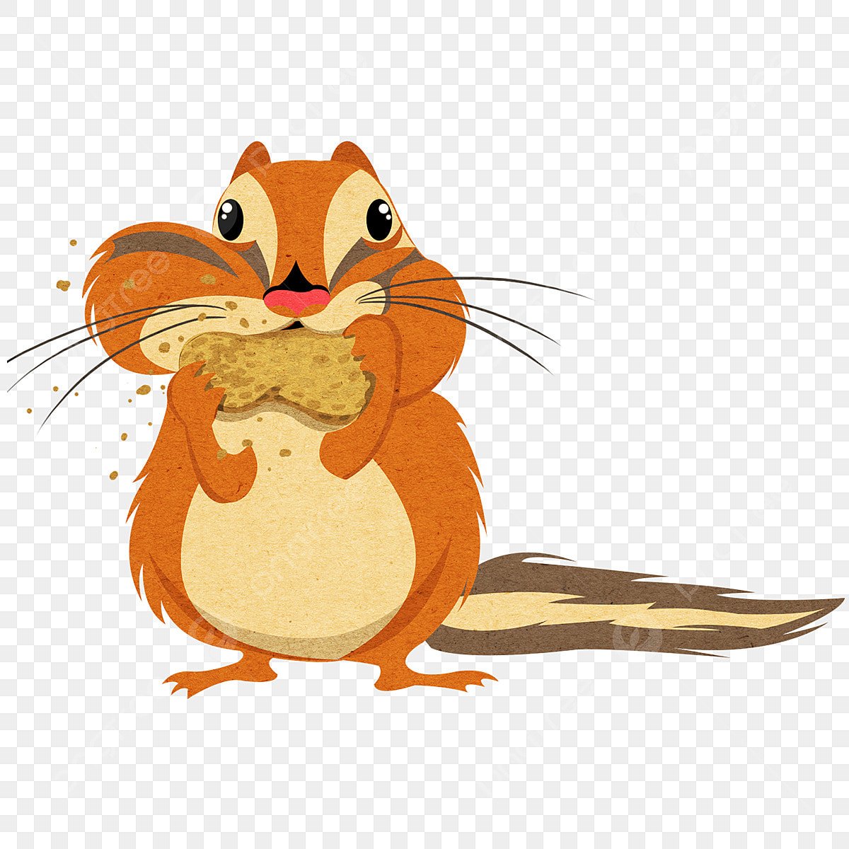 Бурундук фото