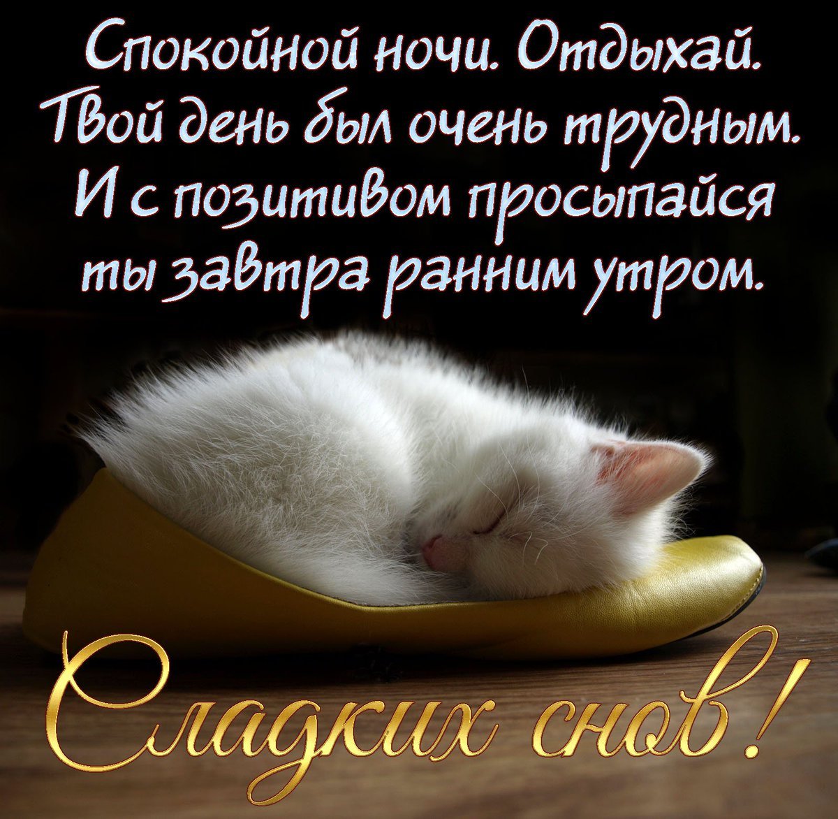 Спокойной ночи красивых снов летние