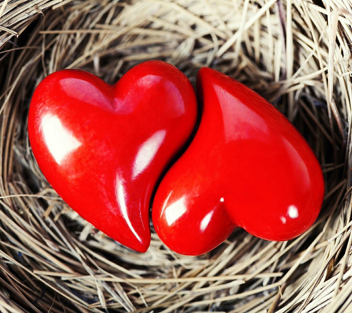 Цветы сердечки