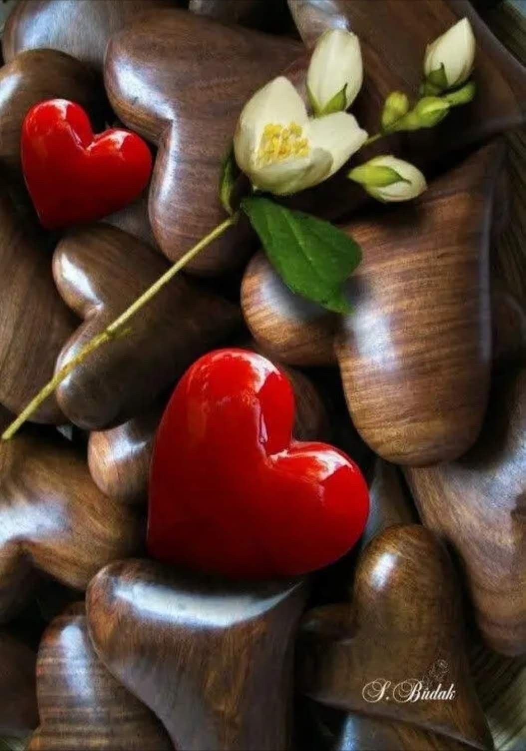 Сердце фото картинки