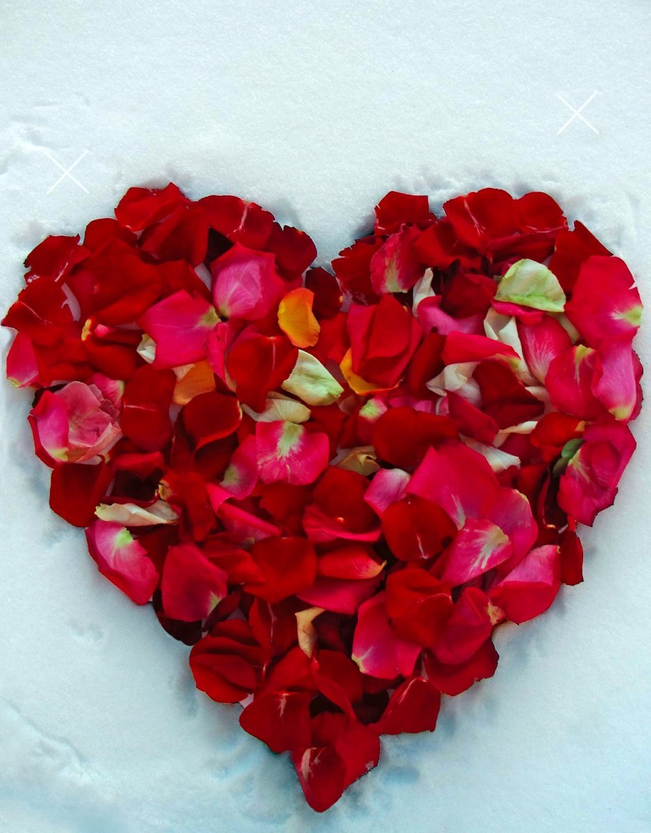 Романтические цветы