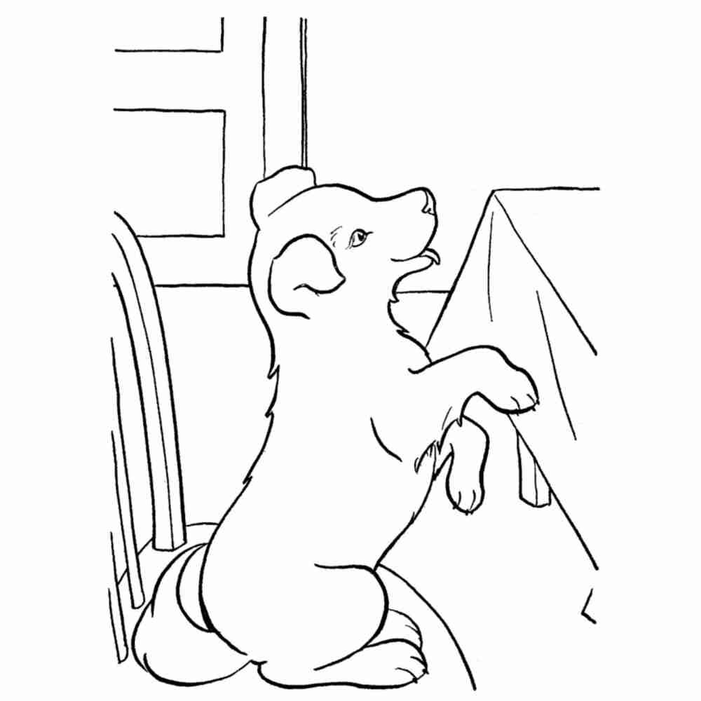 Каштанка Антон Павлович Чехов