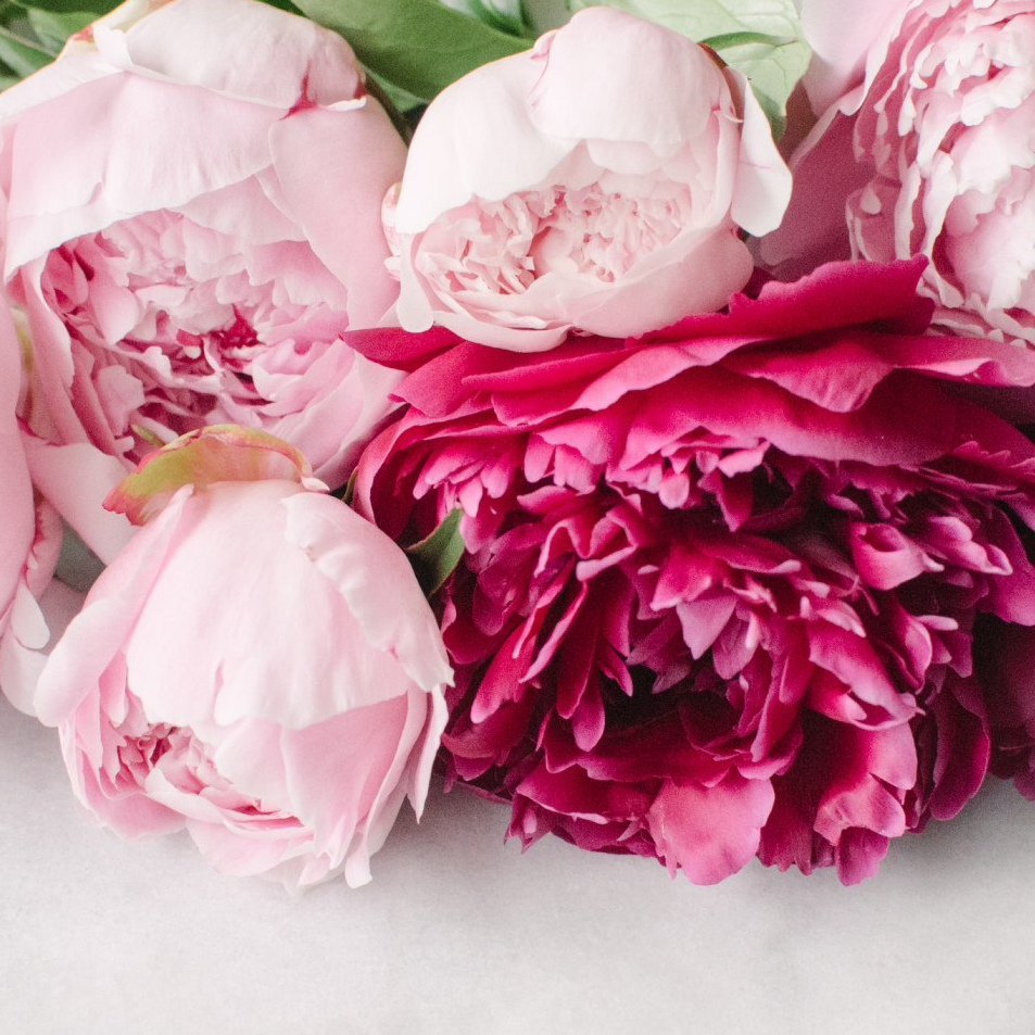 Пионы много