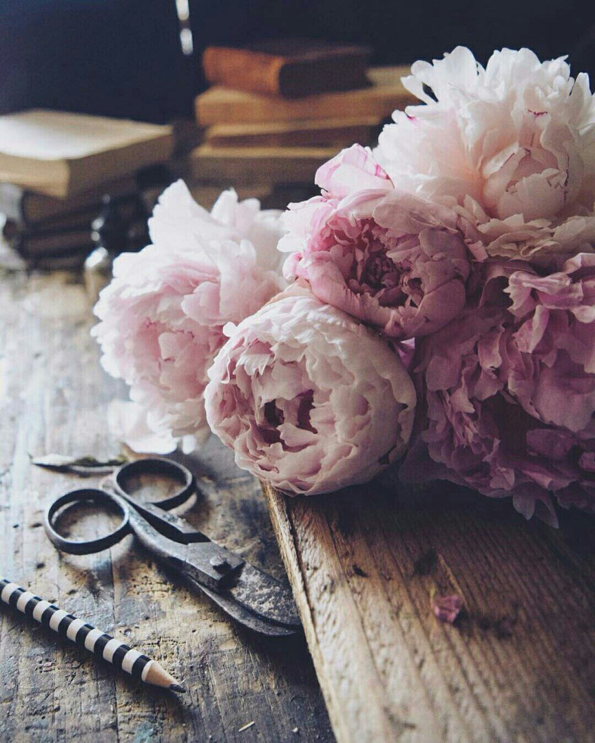 Наталья Каданцева пионы