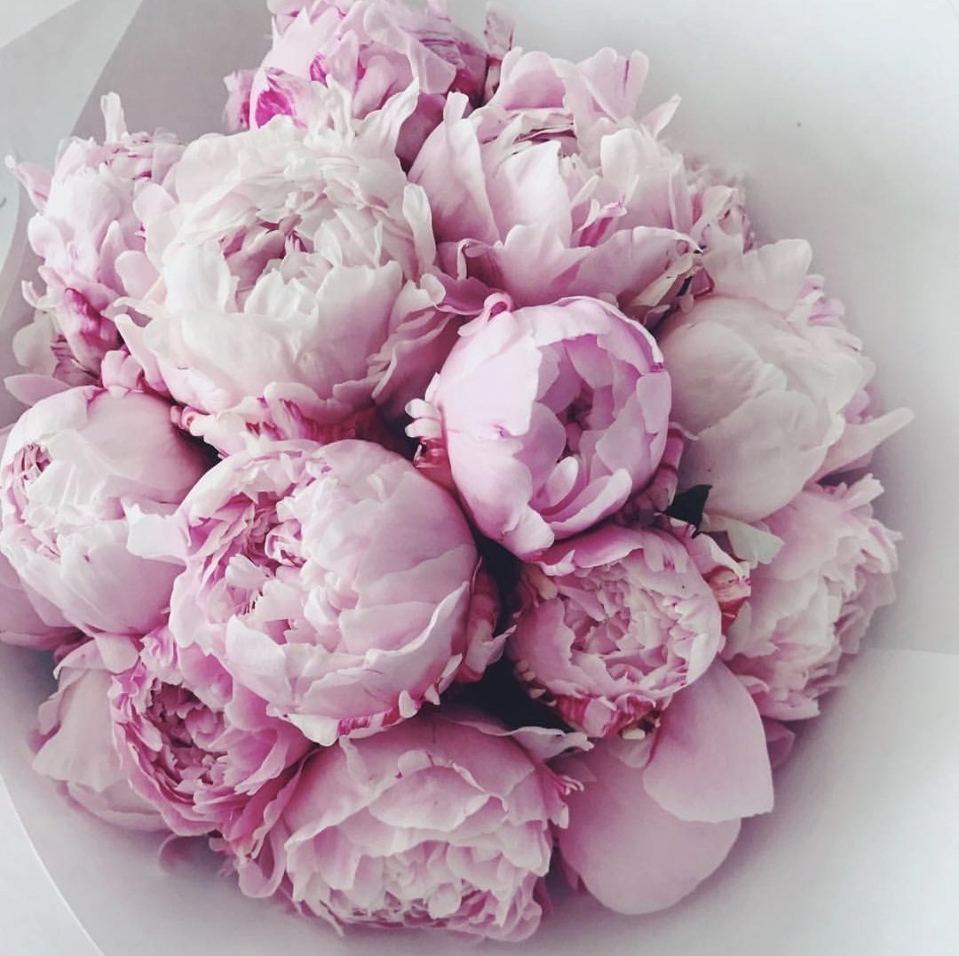 Розовые цветы акварель уголком