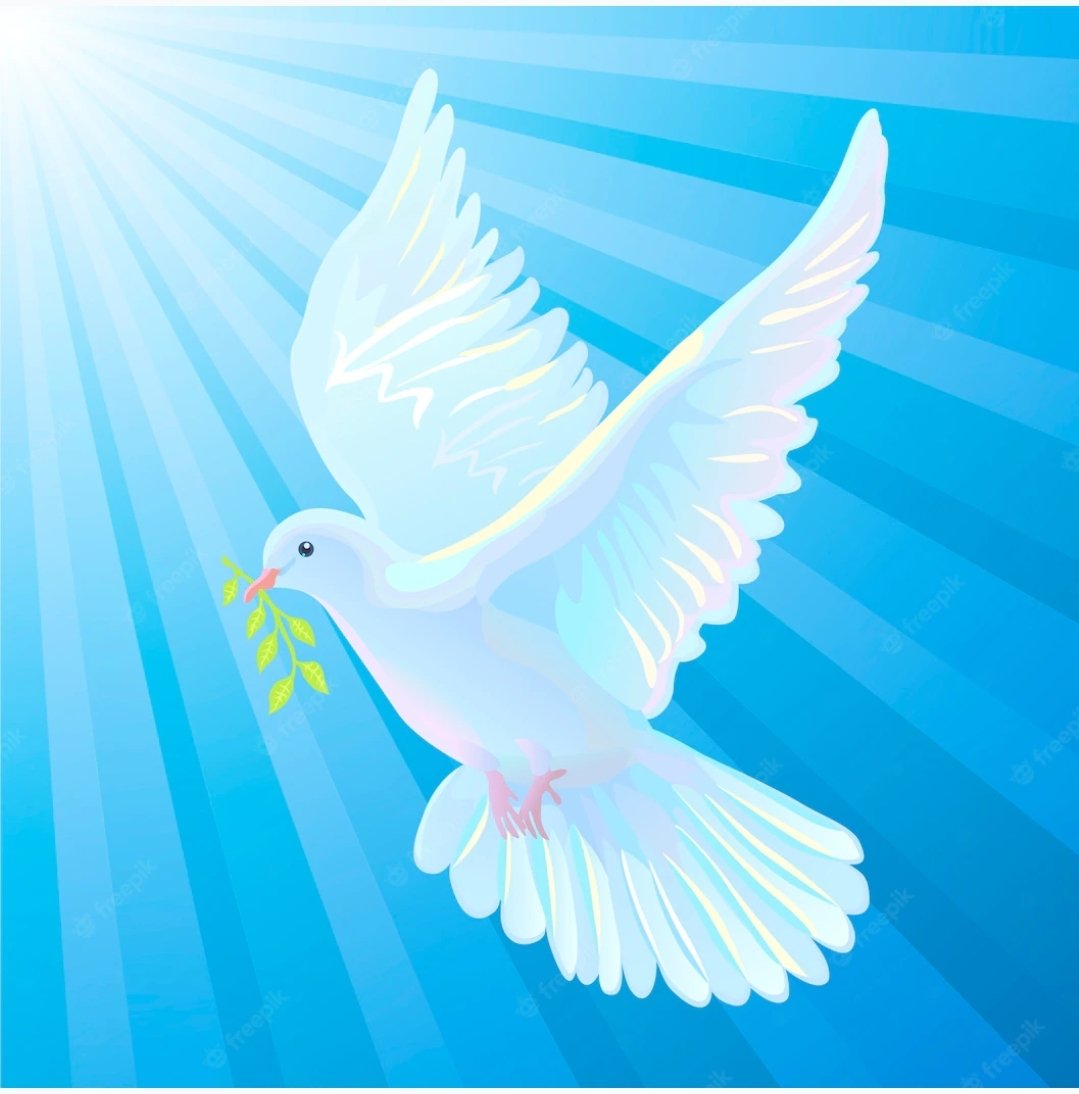 Голубь мира