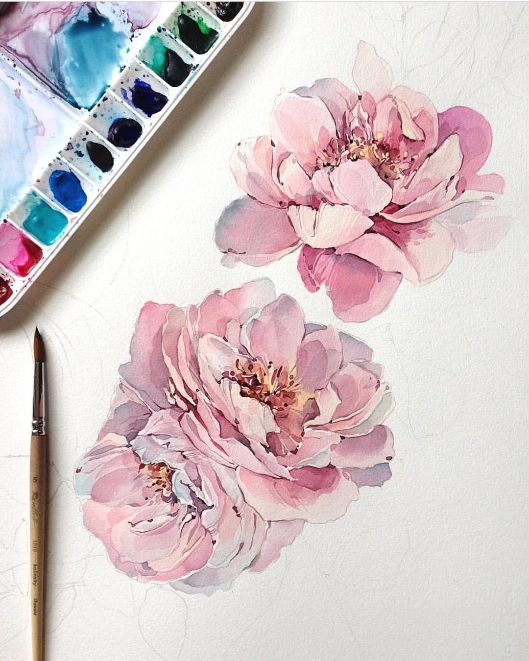 Рамка из бутонов пионов