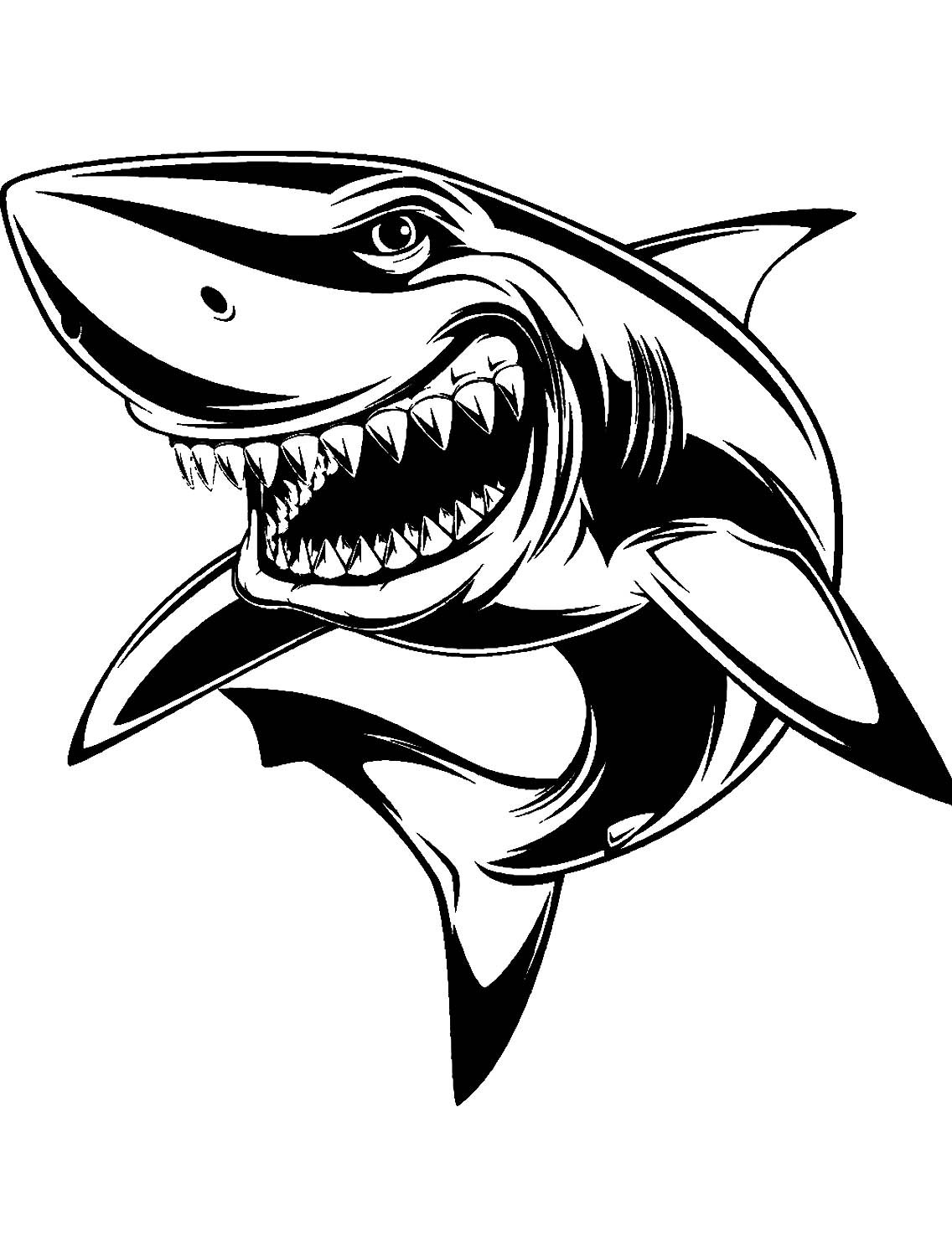 Акула рисунок