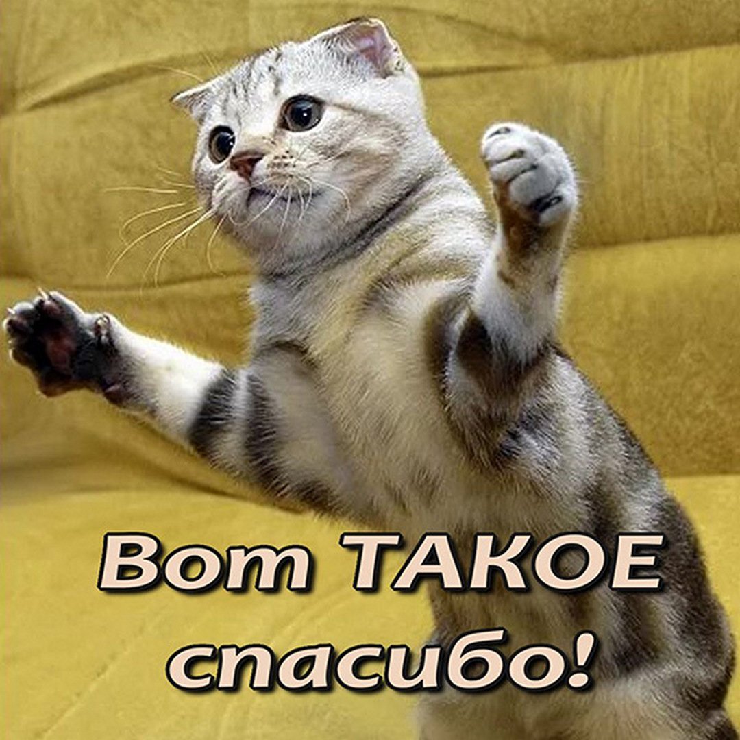 Спасибо картинки