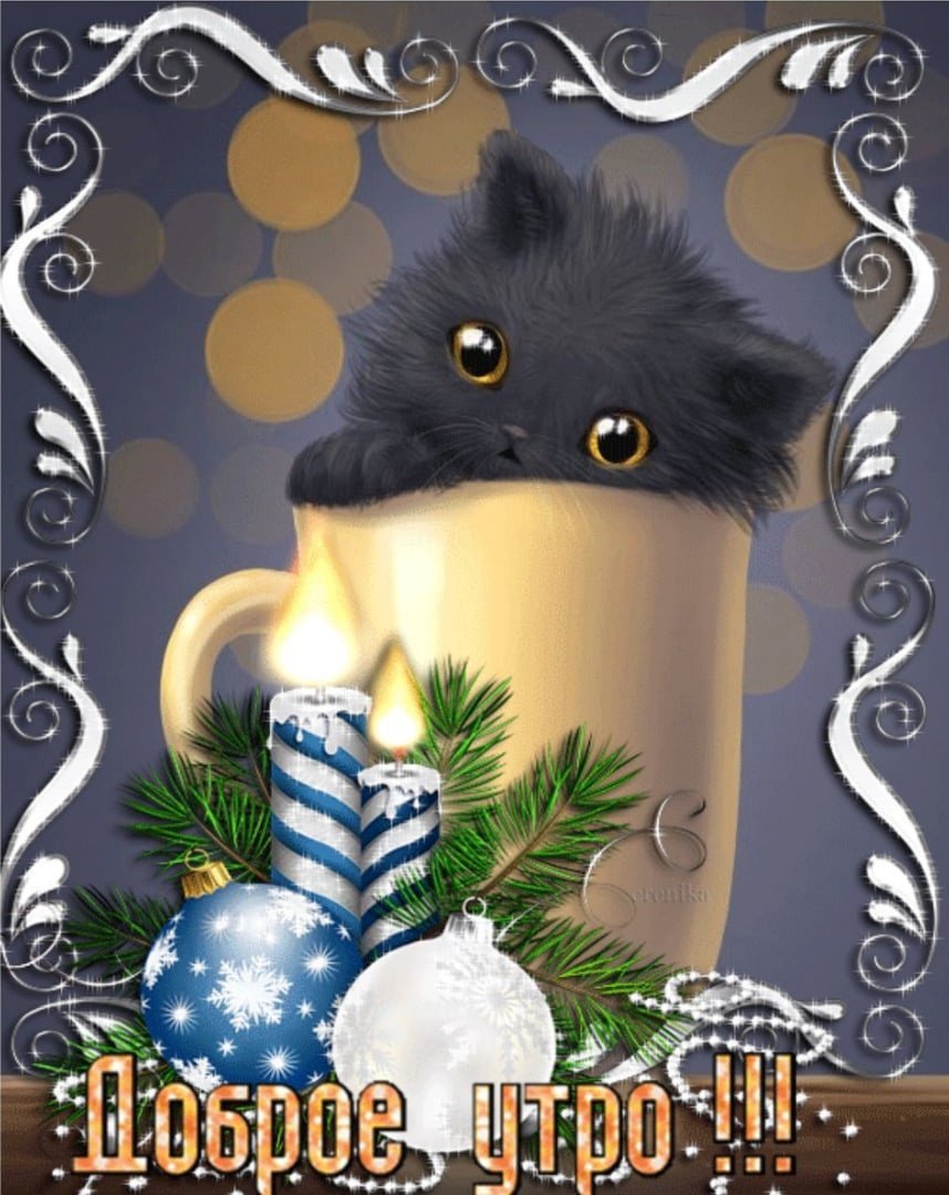 Открытки с добрым зимним утром и котенком
