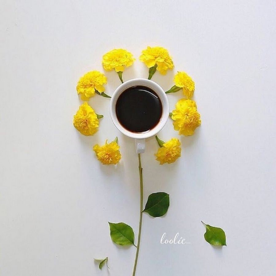 Кофе цветы Минимализм