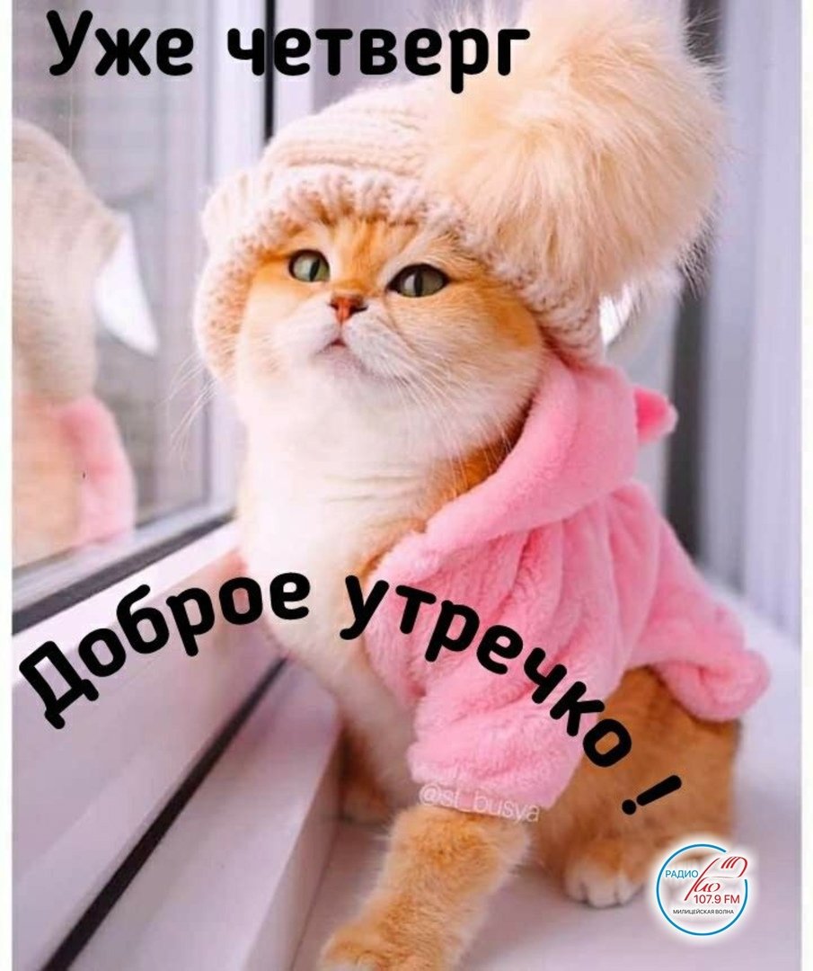 Уже четверг