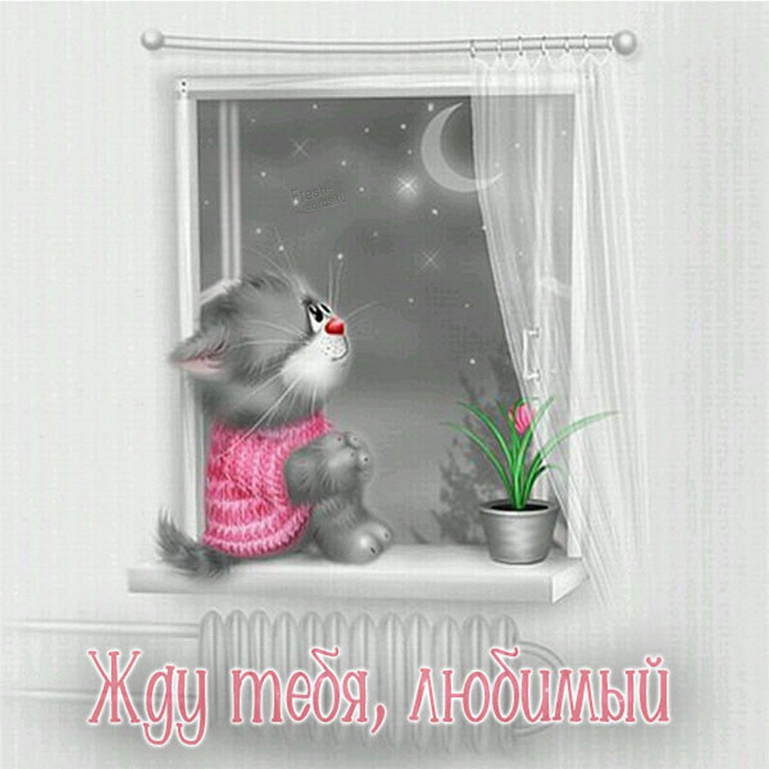 Веселые коты Алексея Долотова