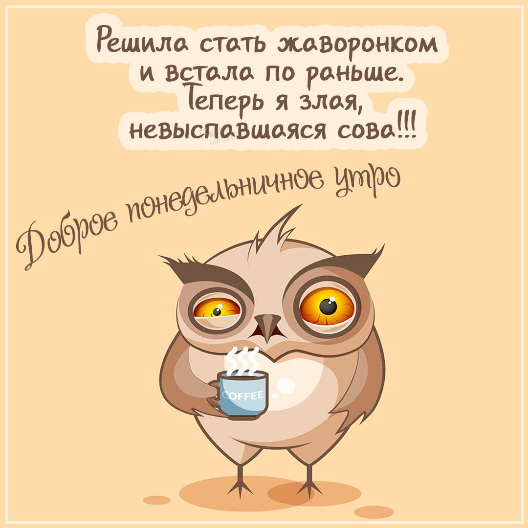 С добрым утром понедельника