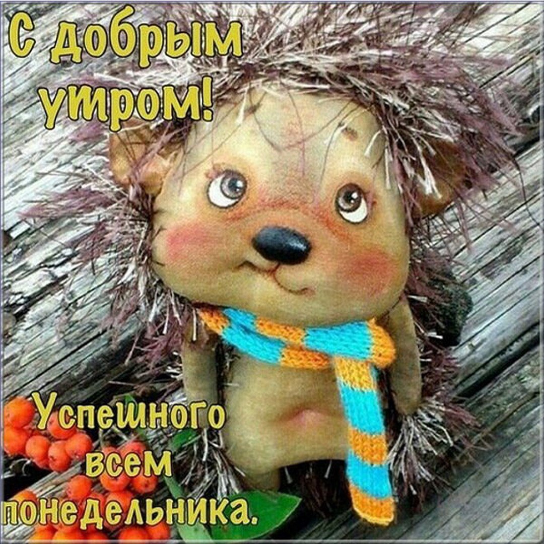Сдобрыи утра понедельника
