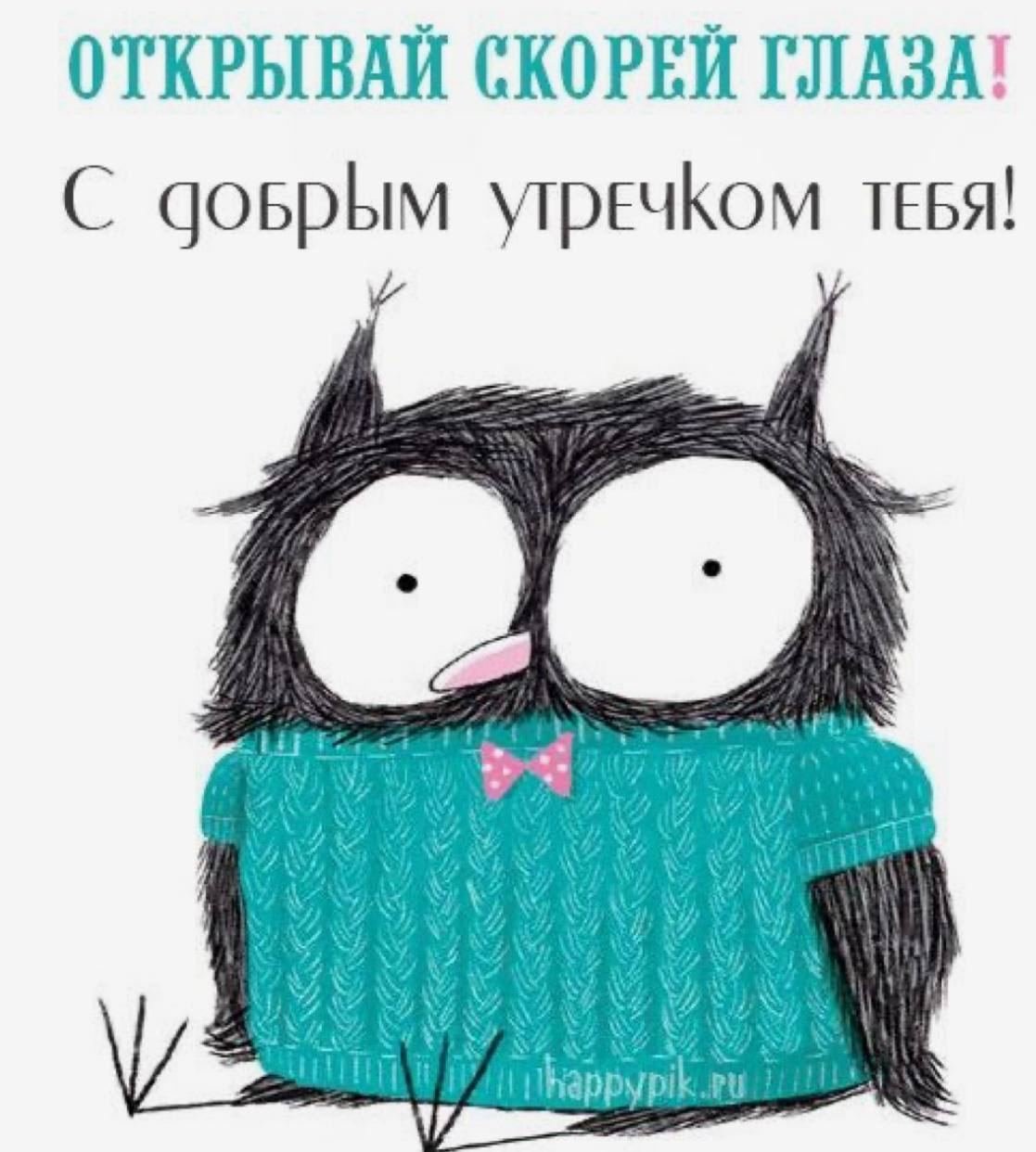 Доброе утро хорошего дня прикольные