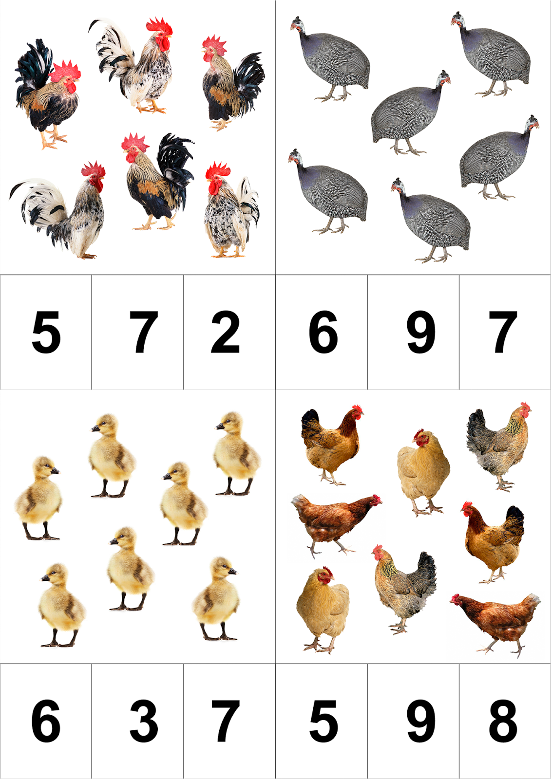 Птичий двор Нищева