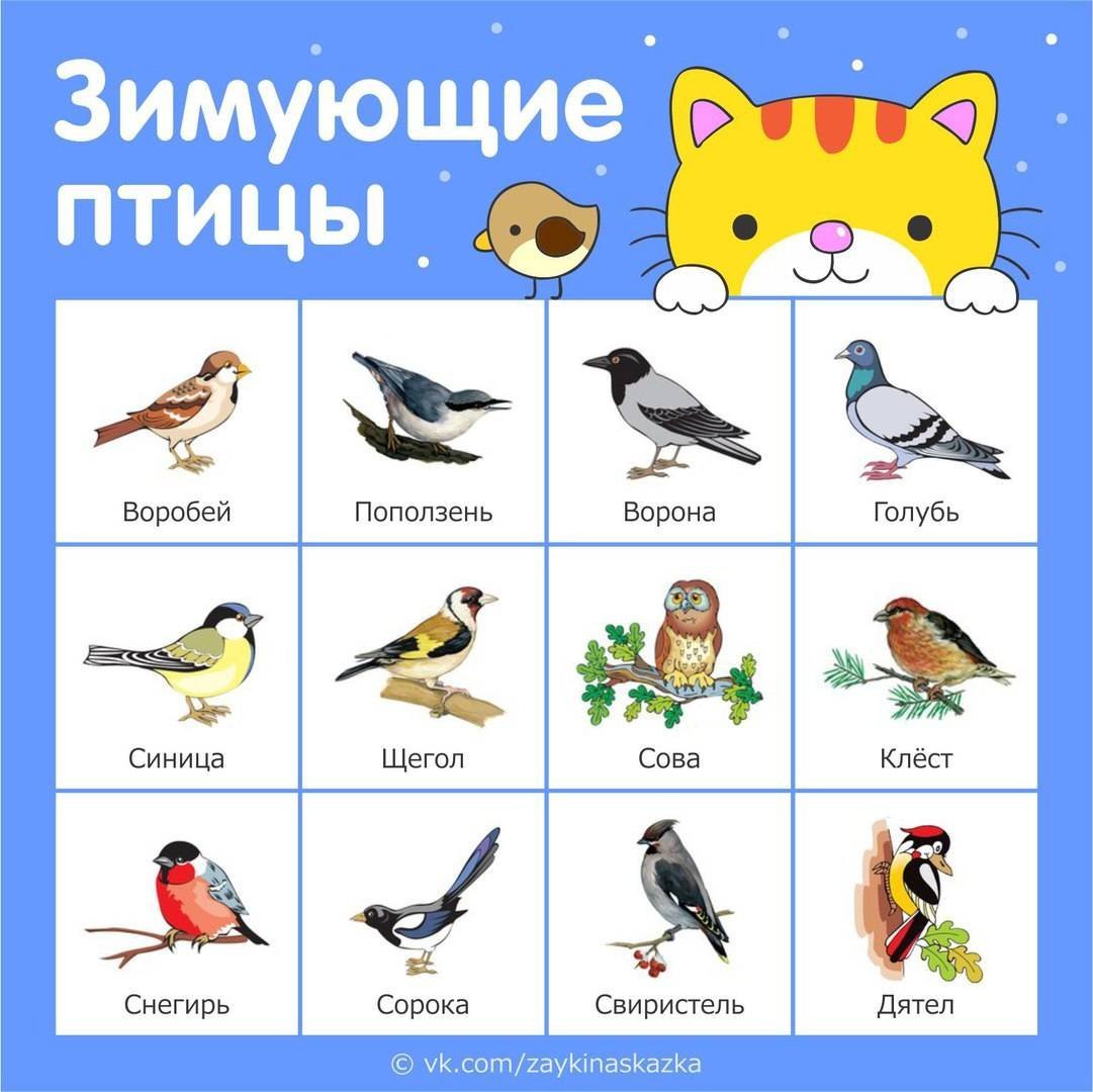 Перелетные птицы