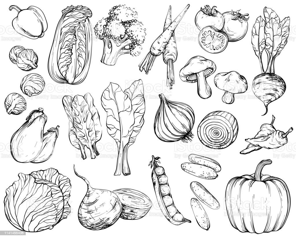 Графическое изображение овощи