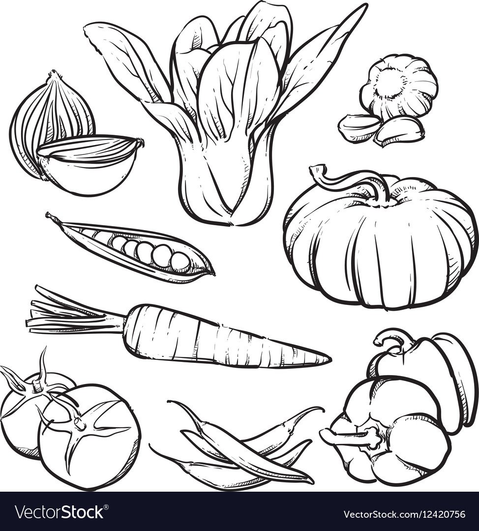 Тыква раскраска для детей