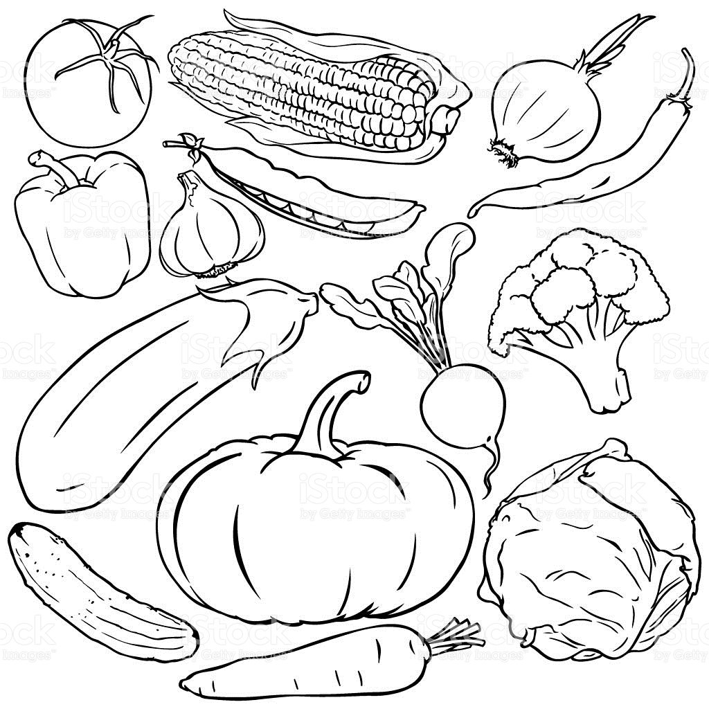 Векторные рисунки фруктов и овощей