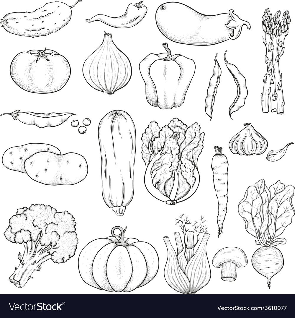 Раскраска овощи для борща