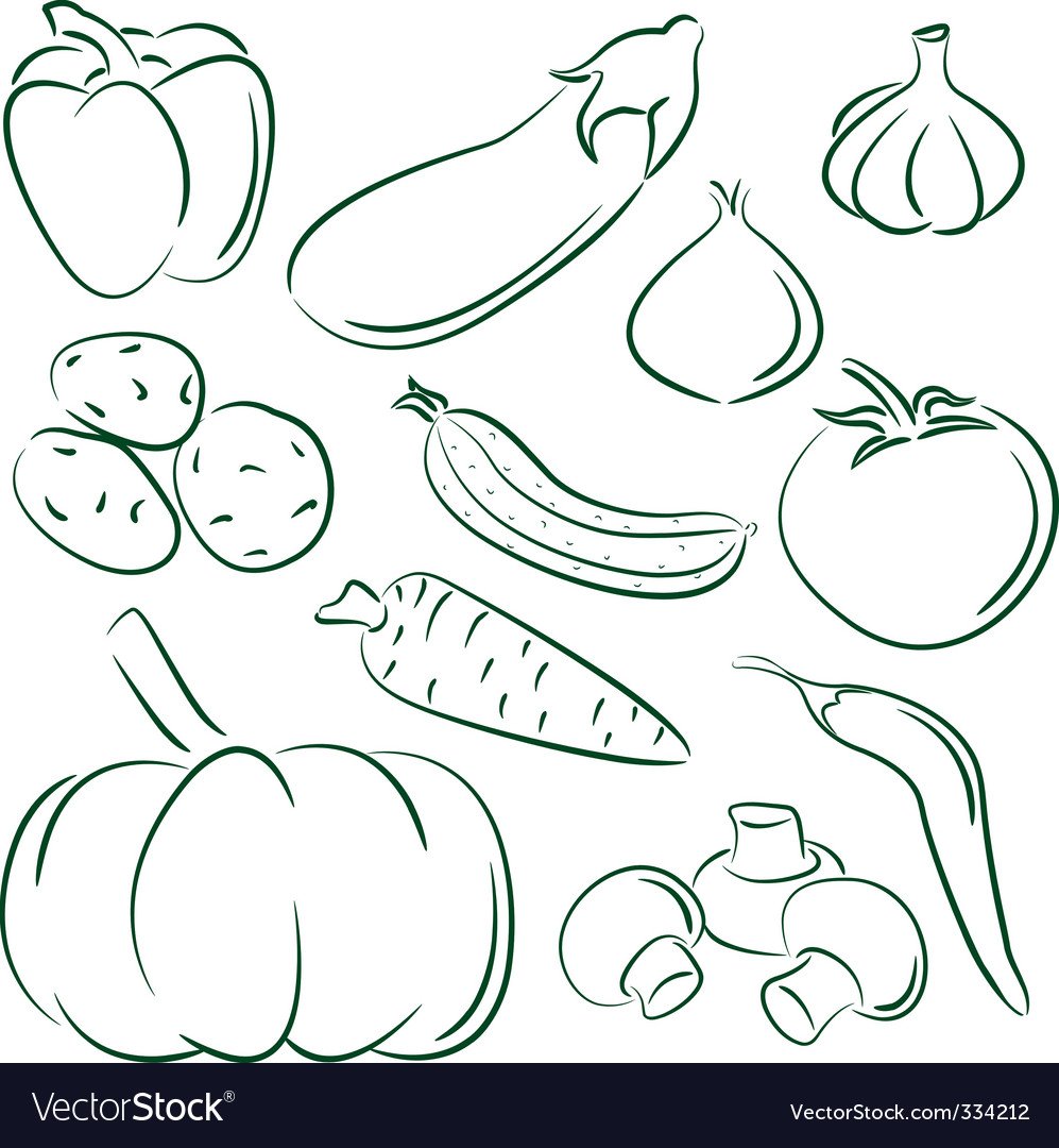 Векторные раскраски овощей