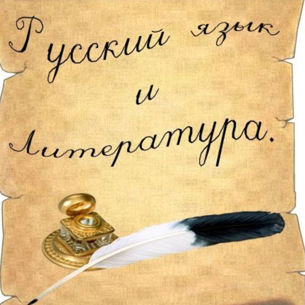 Сова с книгой на прозрачном фоне