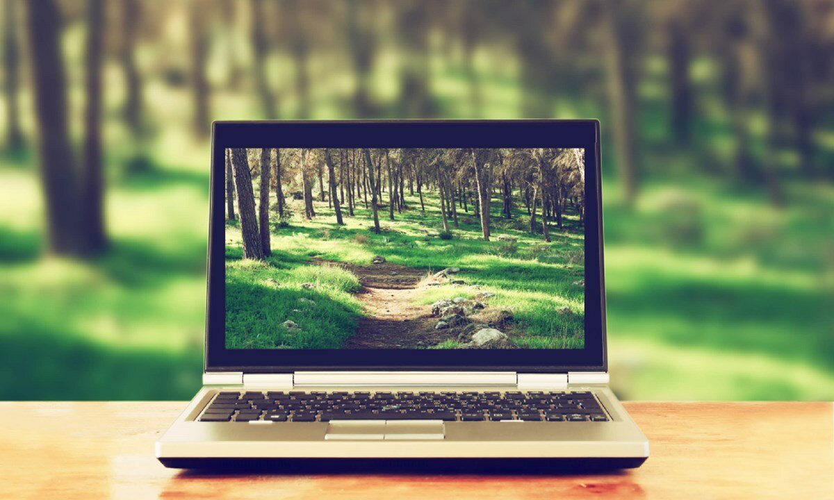 Ноут на природе