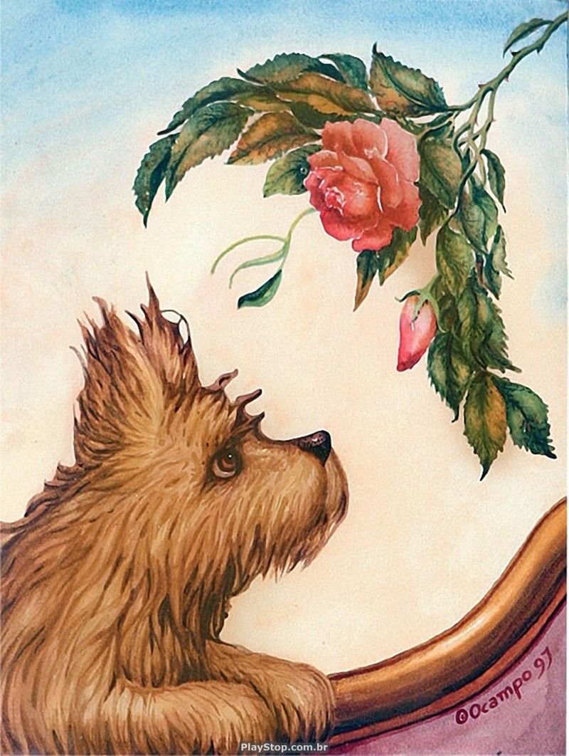 Художник оптических иллюзий Октавио Окампо