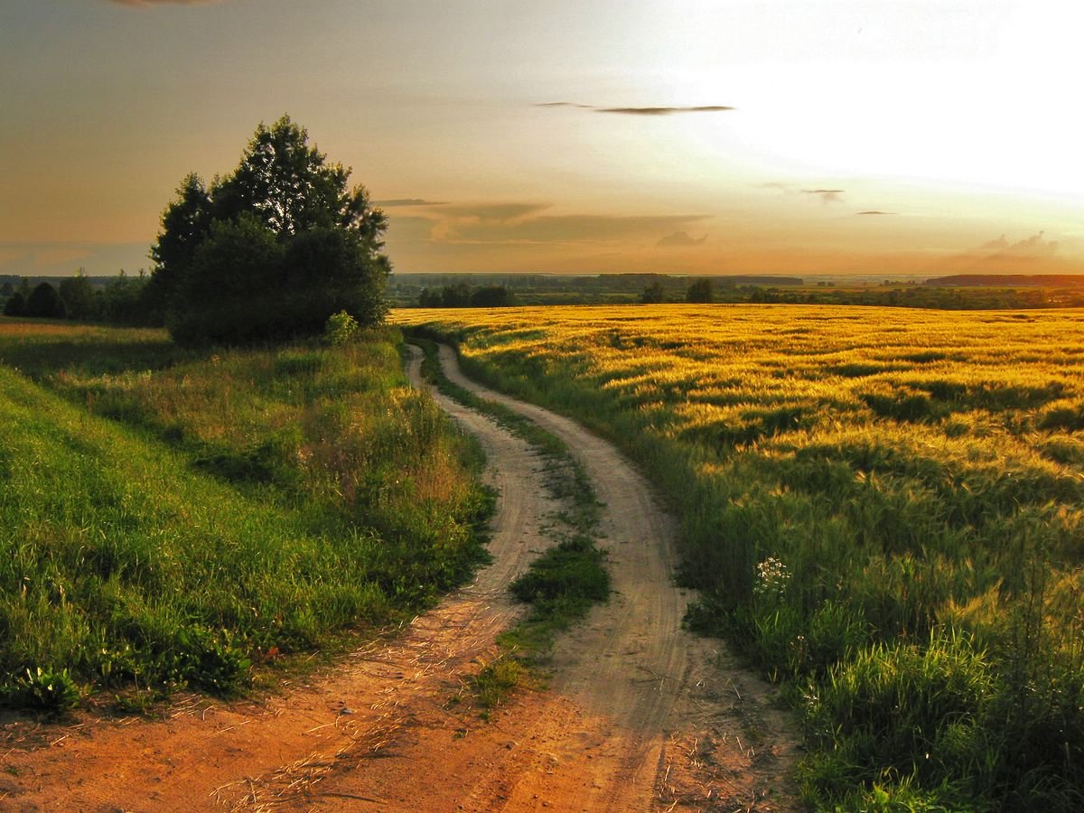 Россия Проселочная дорога
