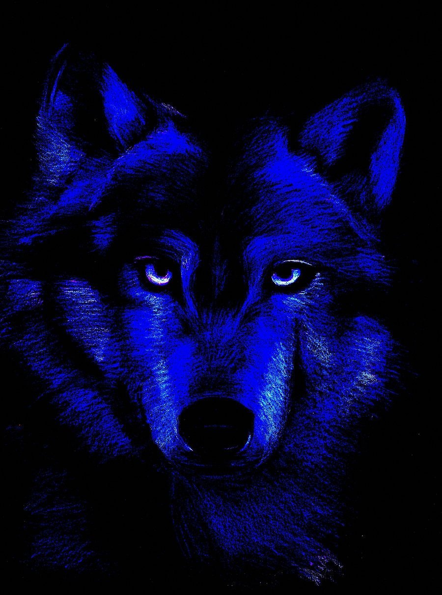 Одинокий волк