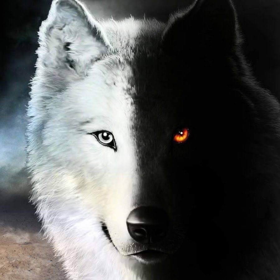 Волк со шрамом