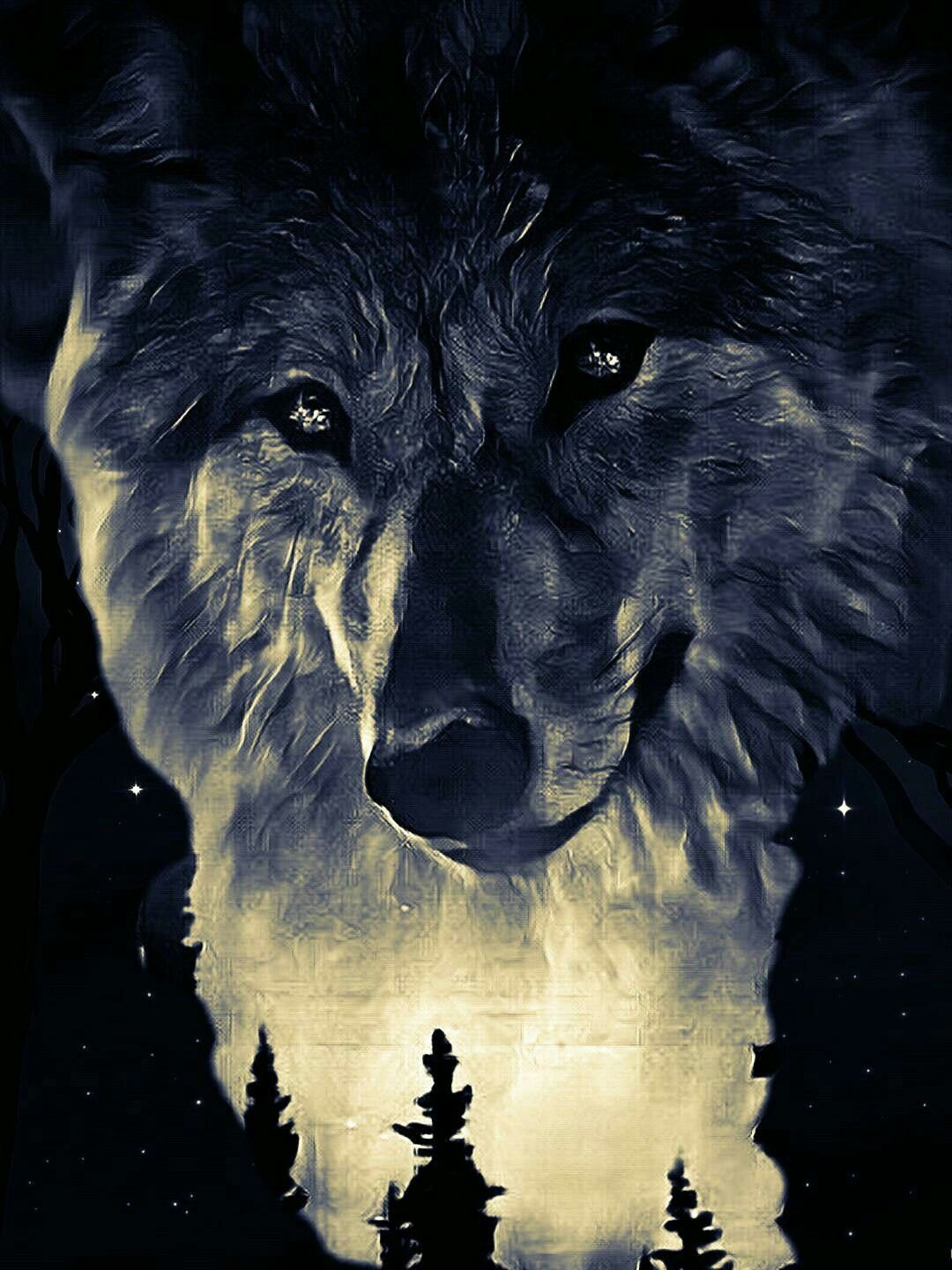 Волк на черном фоне