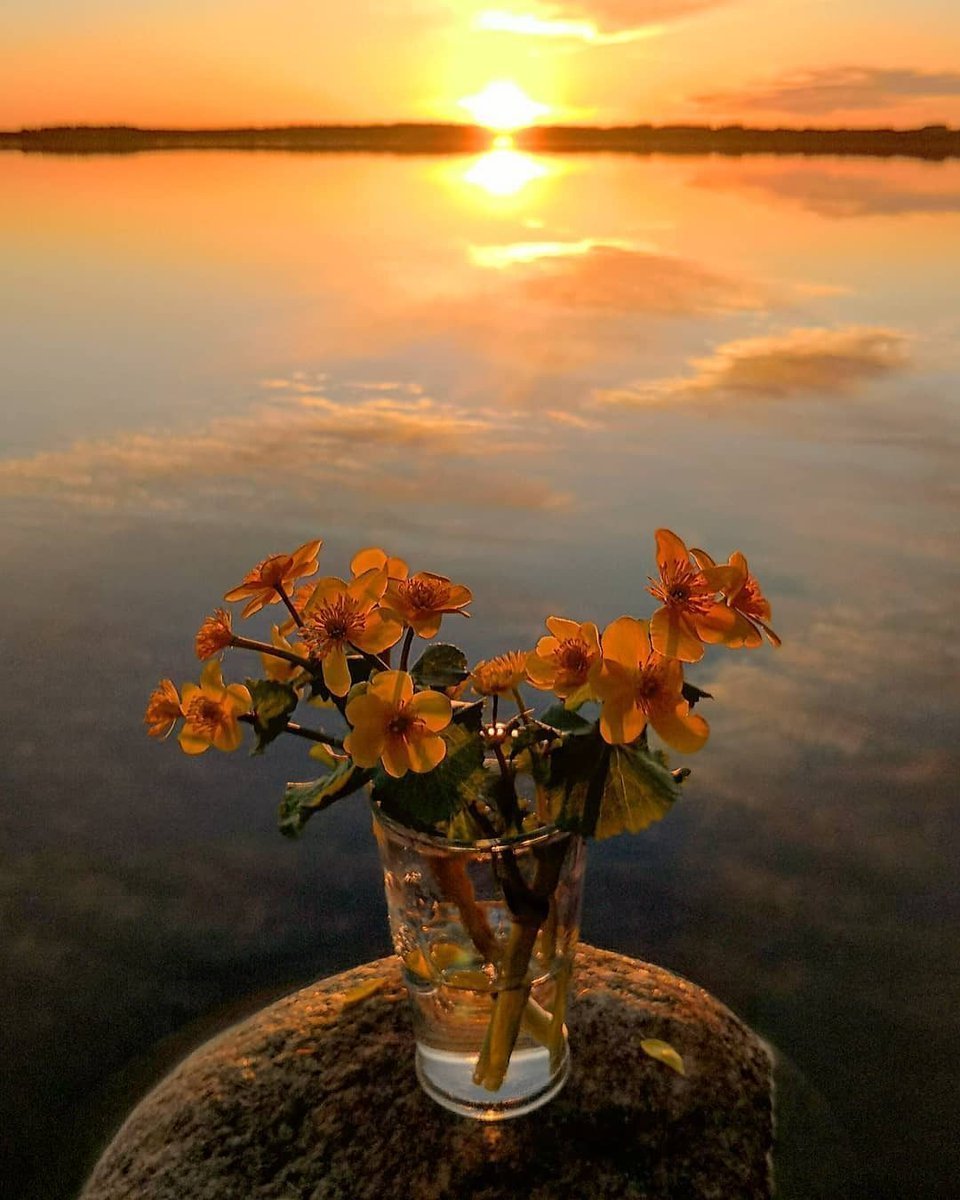 Доброго летнего вечера