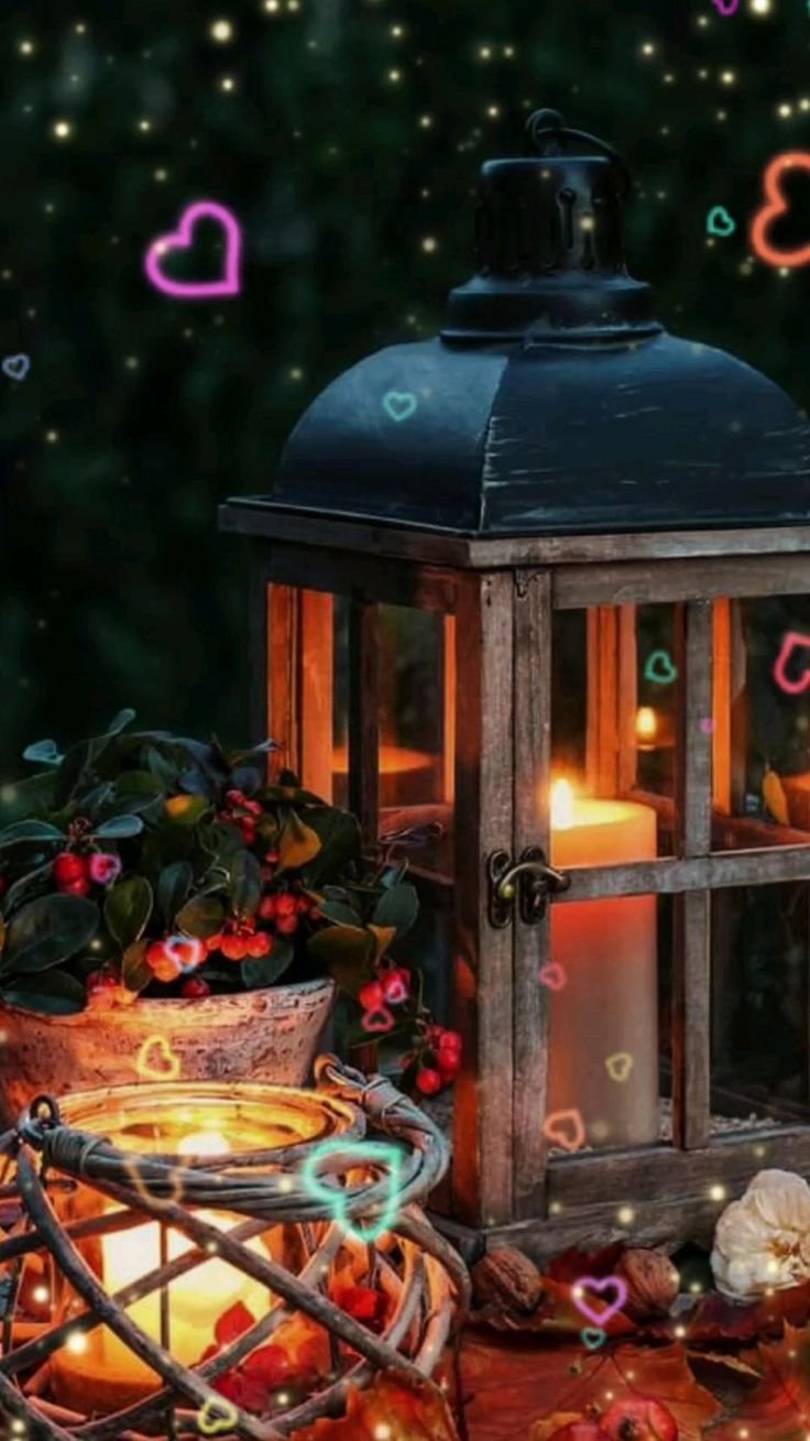 Уютный сад с фонариками