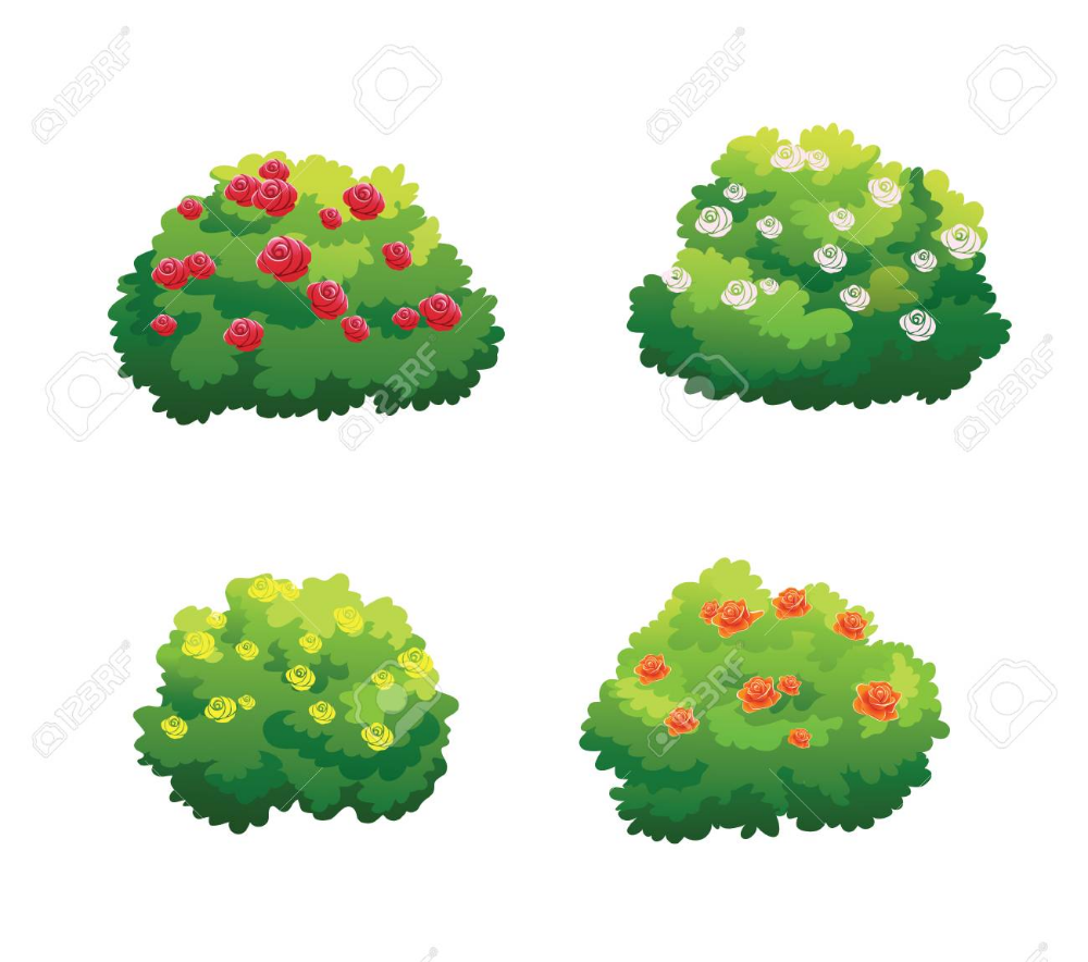 Кустарник вектор