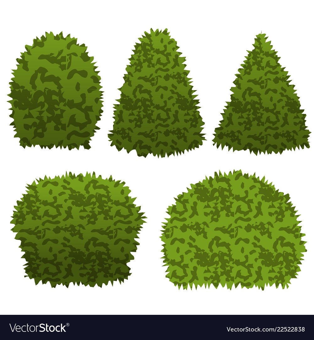 Куст вырезка