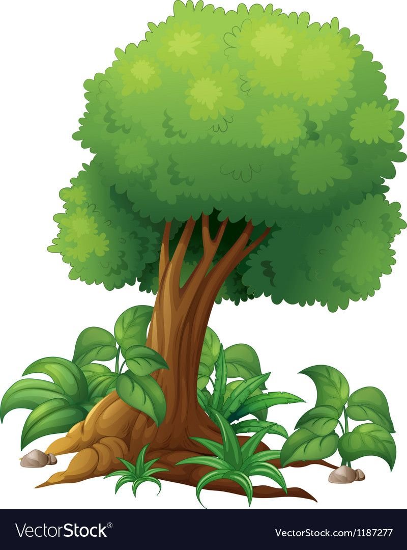 Сказочные кусты