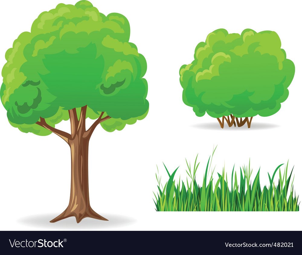 Деревья кустарники травы